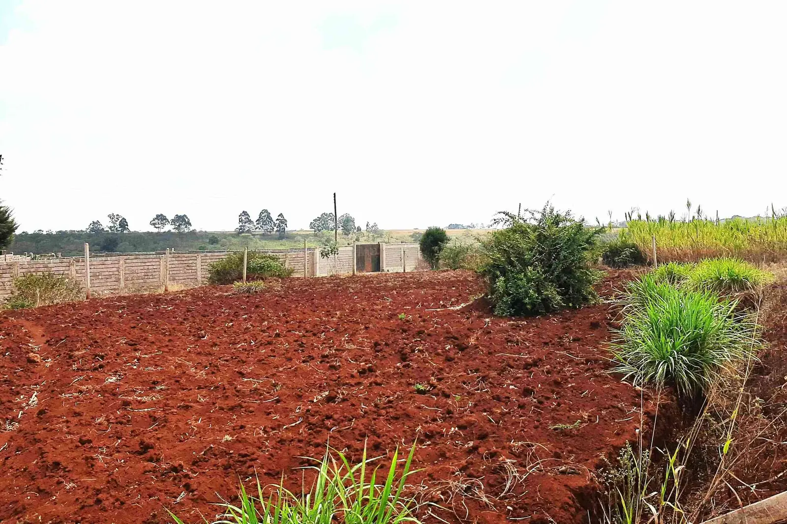 Plot in Makongeni, Thika, photo 1 of 5