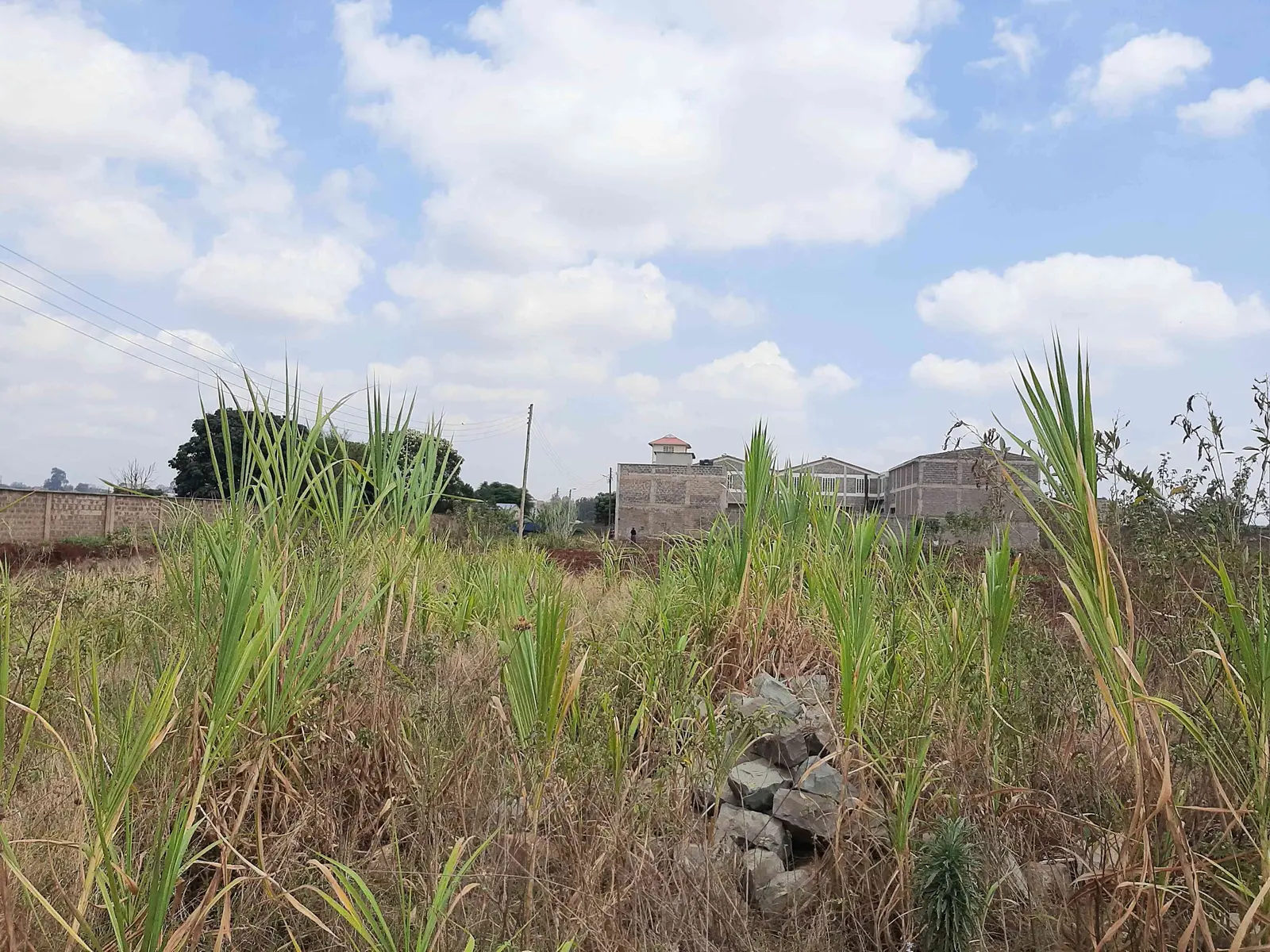 Plot in Makongeni, Thika, photo 4 of 5