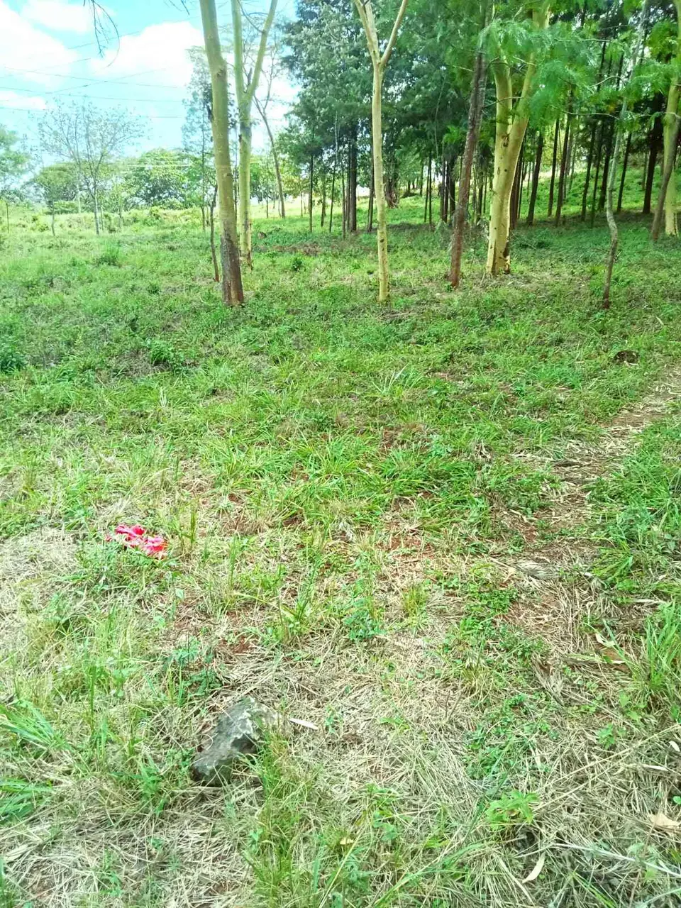Plot in Thika, Kiambu, photo 2 of 5