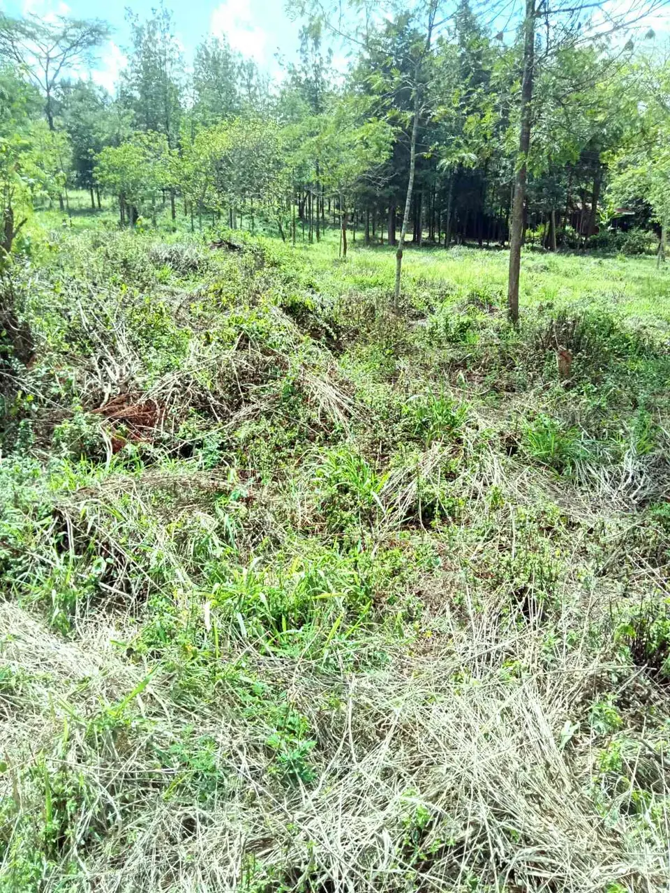 Plot in Thika, Kiambu, photo 3 of 5