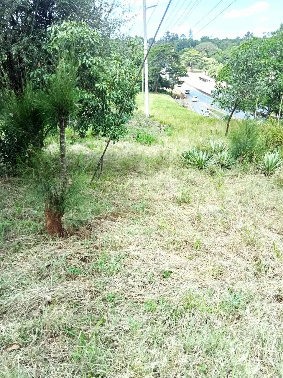 Plot in Thika, Kiambu, photo 5 of 5