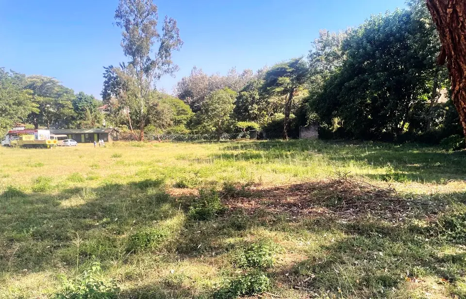 2.5 acres of land in Nairobi, photo 4 of 5