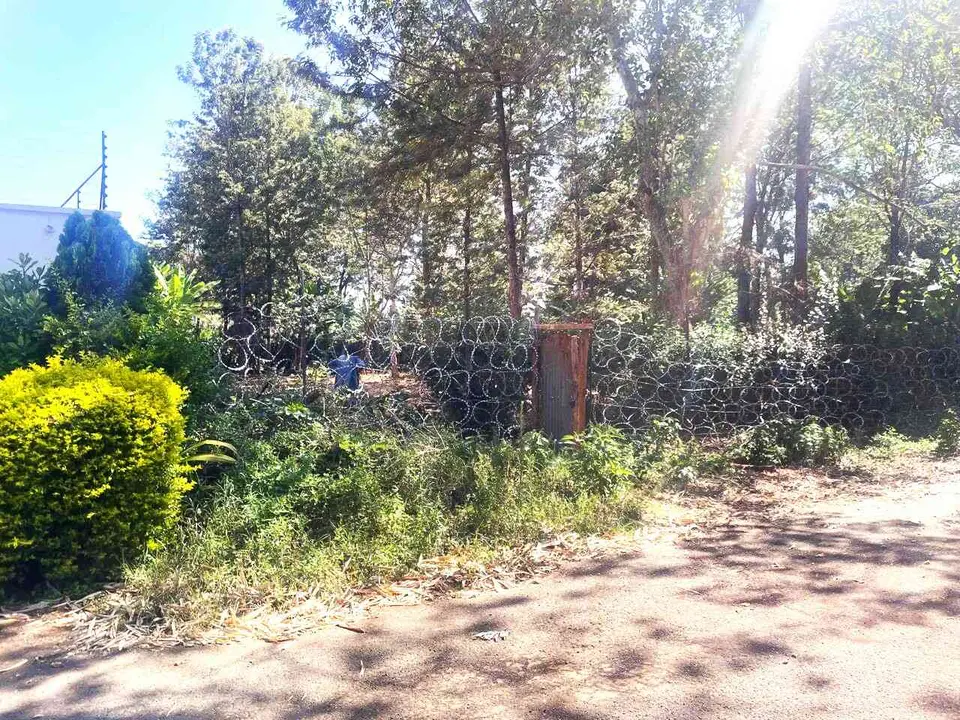 1/2 acre plot in Nairobi, photo 3 of 5