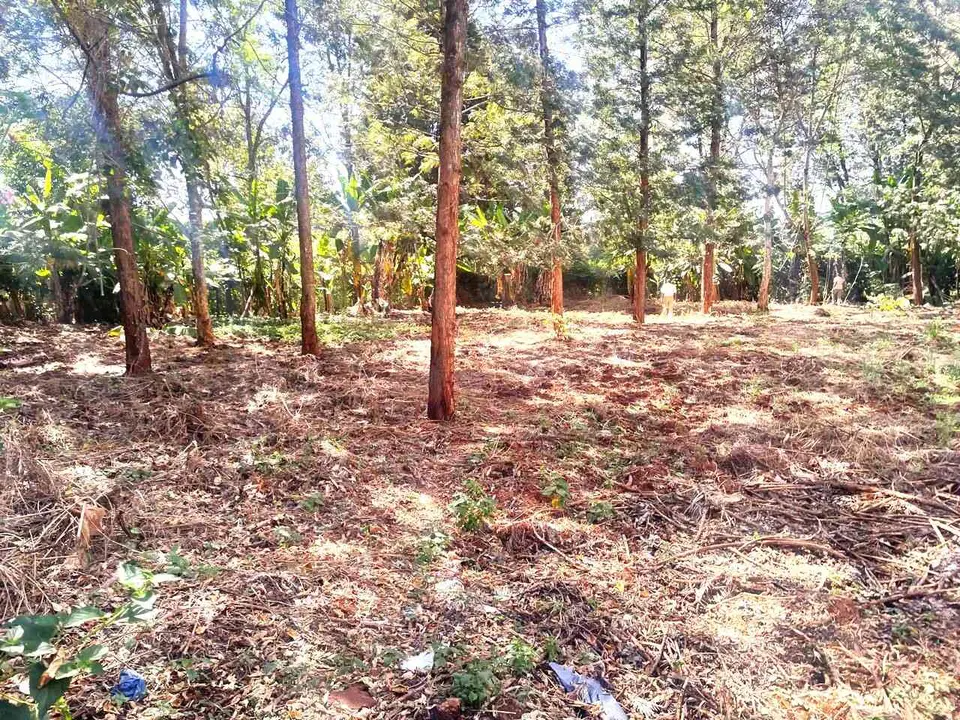 1/2 acre plot in Nairobi, photo 4 of 5