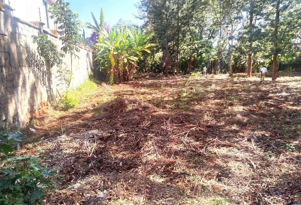 1/2 acre plot in Nairobi, photo 5 of 5