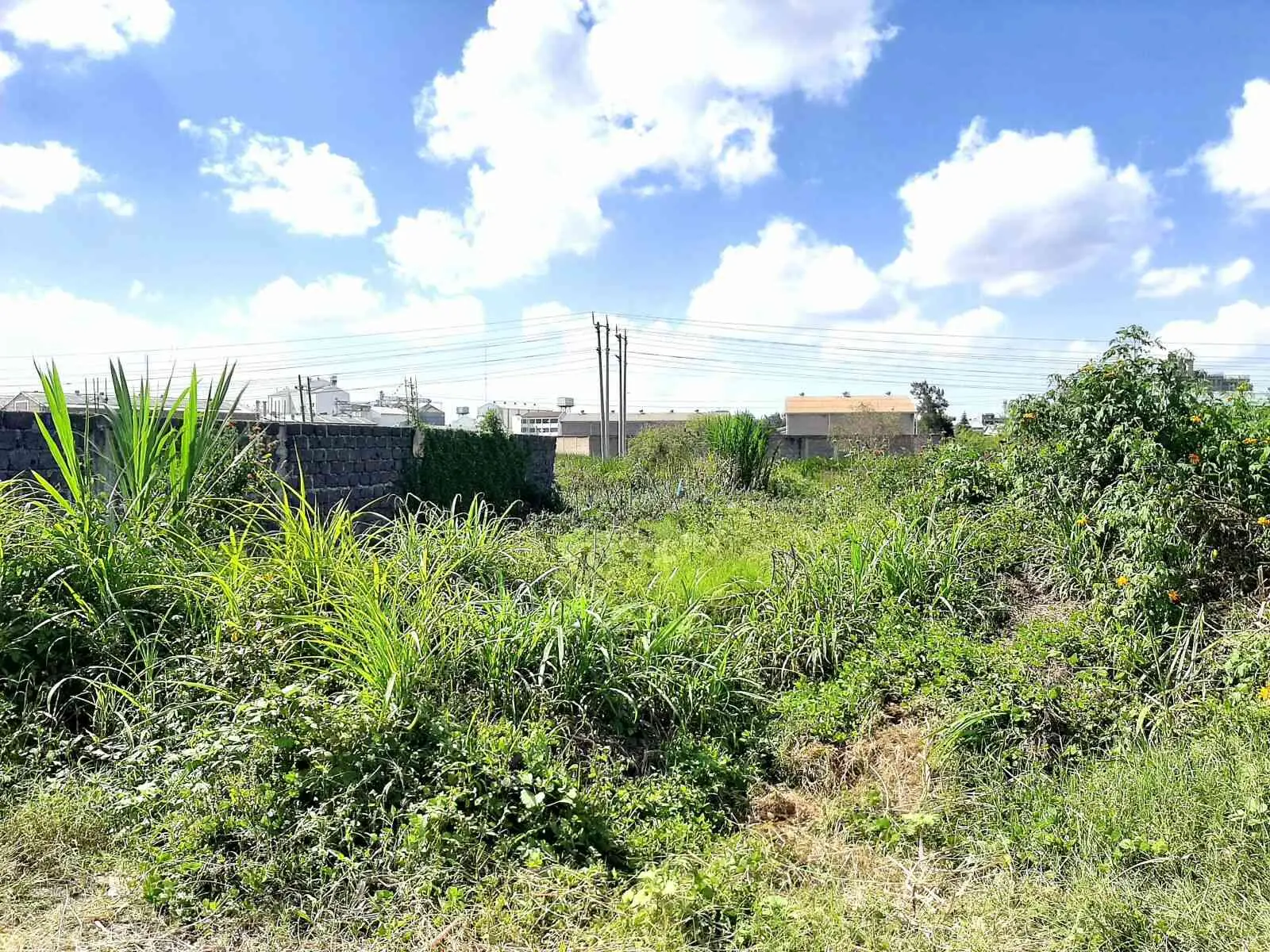 12 acres of land in Thika-Kiganjo Bypass, Thika, photo 3 of 5