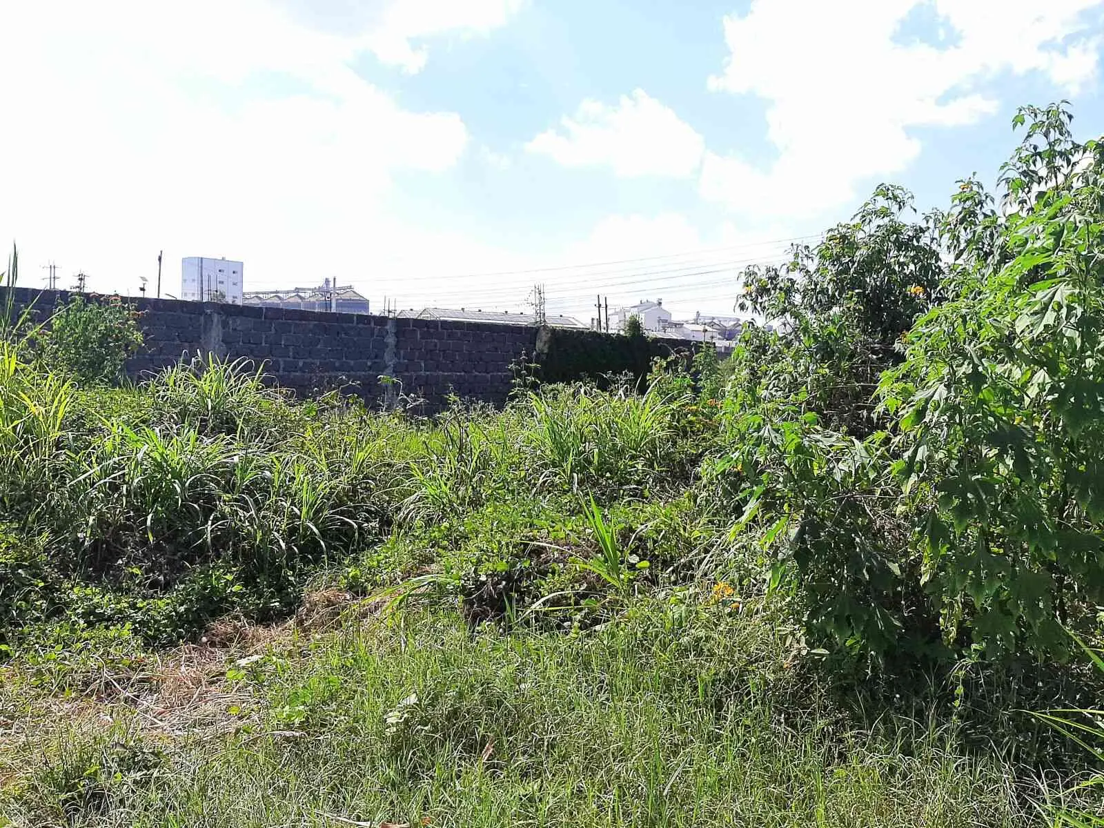 12 acres of land in Thika-Kiganjo Bypass, Thika, photo 4 of 5