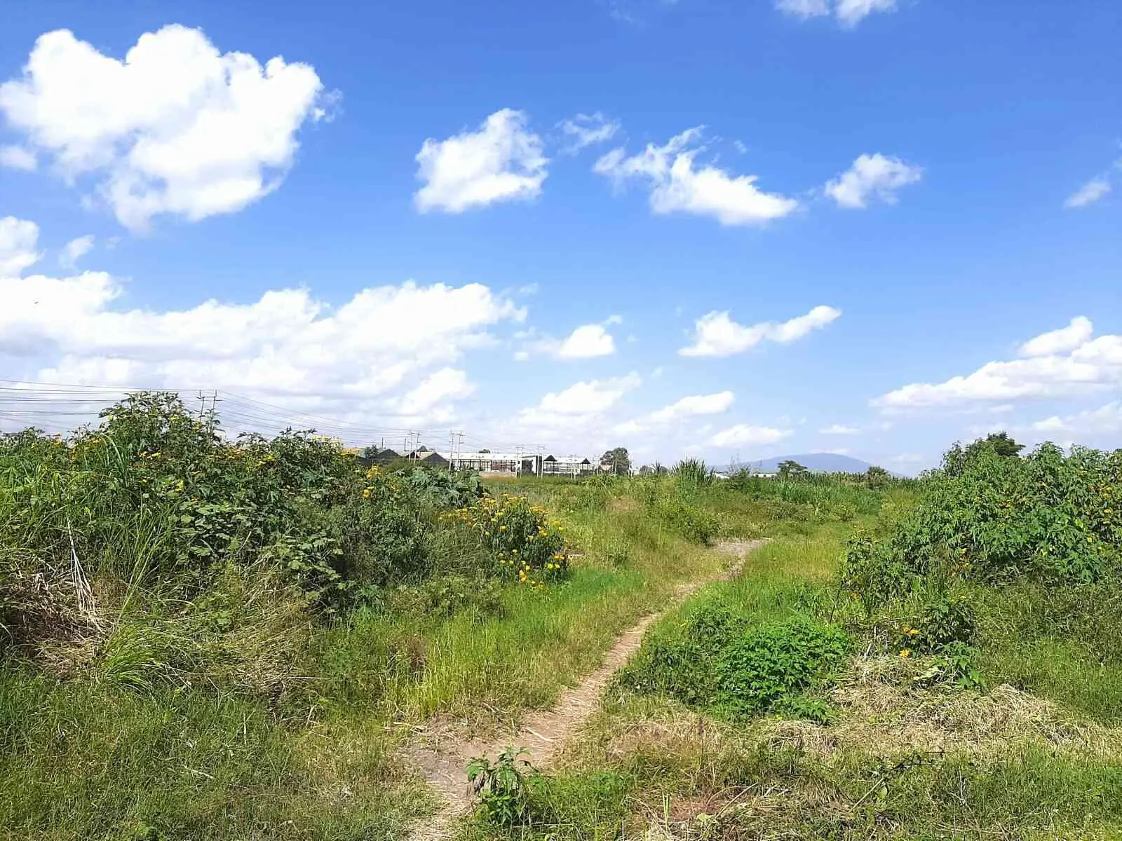 12 acres of land in Thika-Kiganjo Bypass, Thika, photo 5 of 5