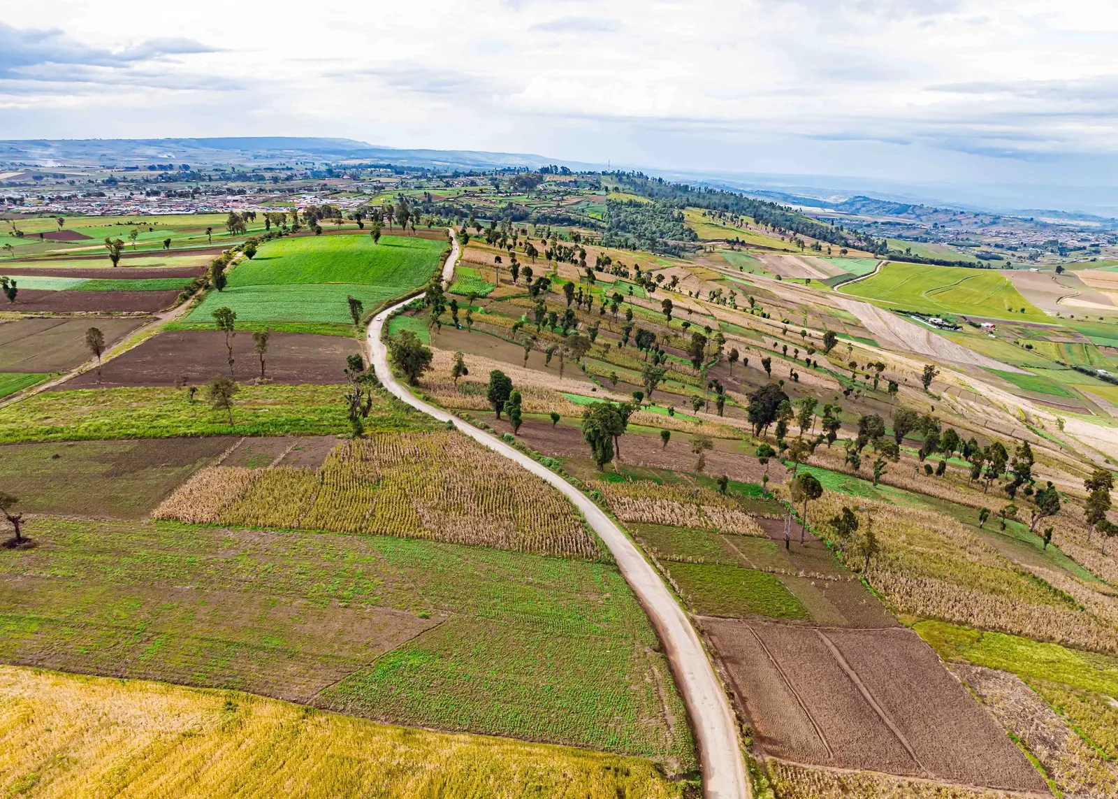 1/4 acre plot in Kitengela, Kajiado, photo 2 of 9