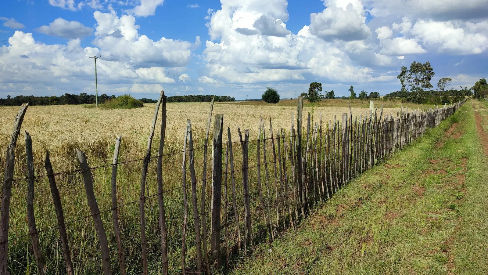 1/4 acre plot in Kitengela, Kajiado, photo 9 of 9