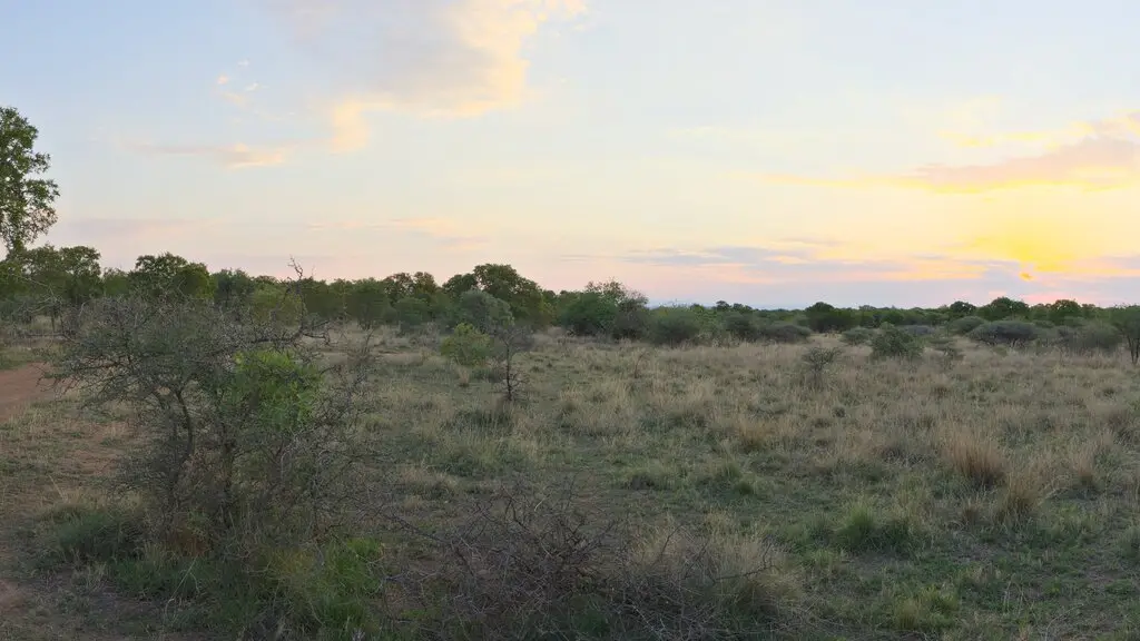 360 virtual tour of this 1/4 acre plot